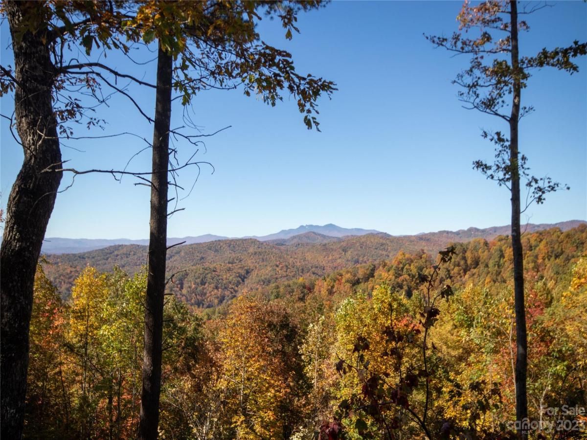 MLS #CAR4105989 image #25