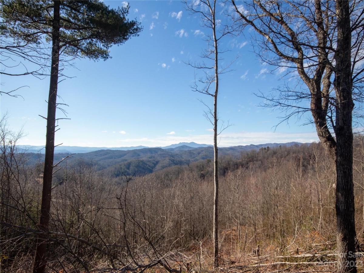 MLS #CAR4105989 image #26