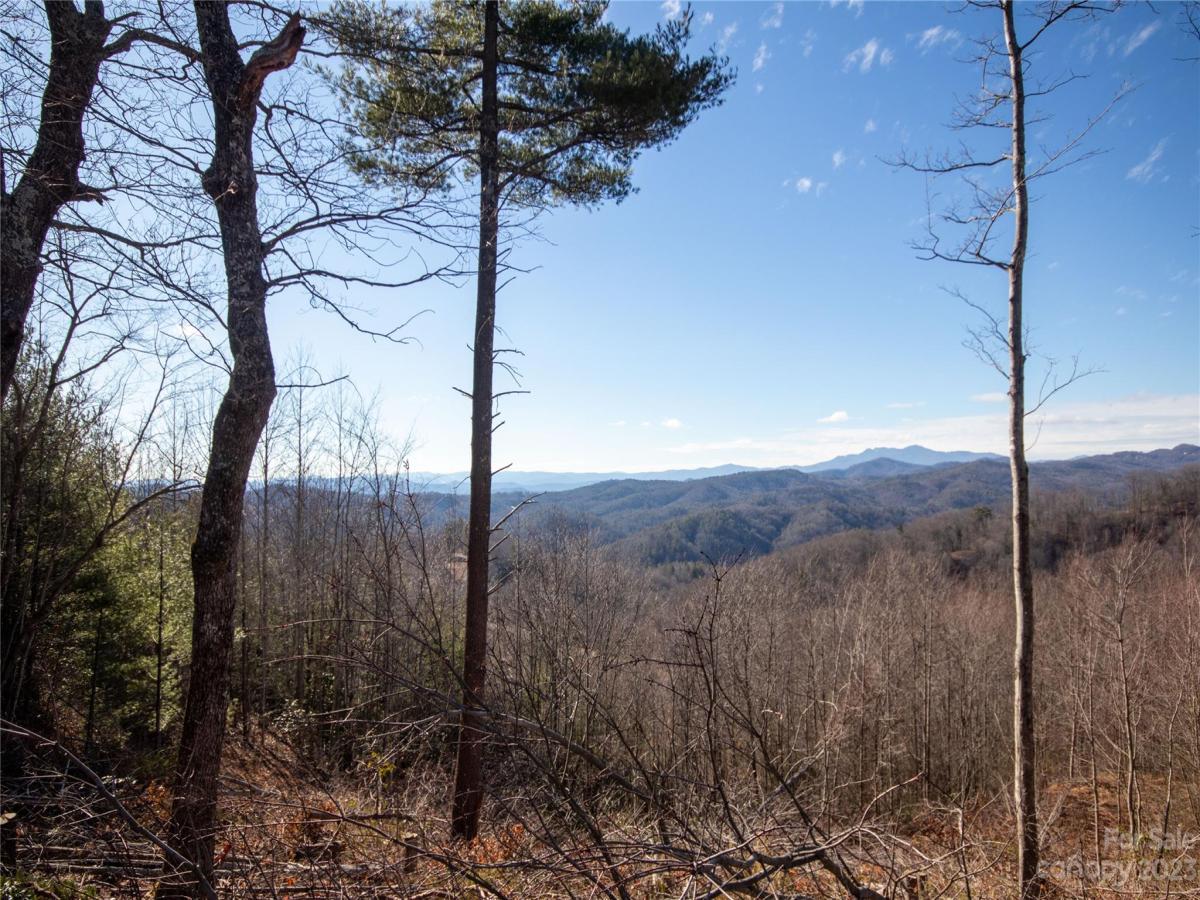 MLS #CAR4105989 image #27