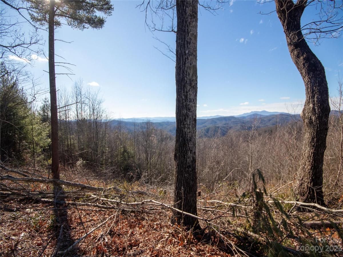 MLS #CAR4105989 image #28