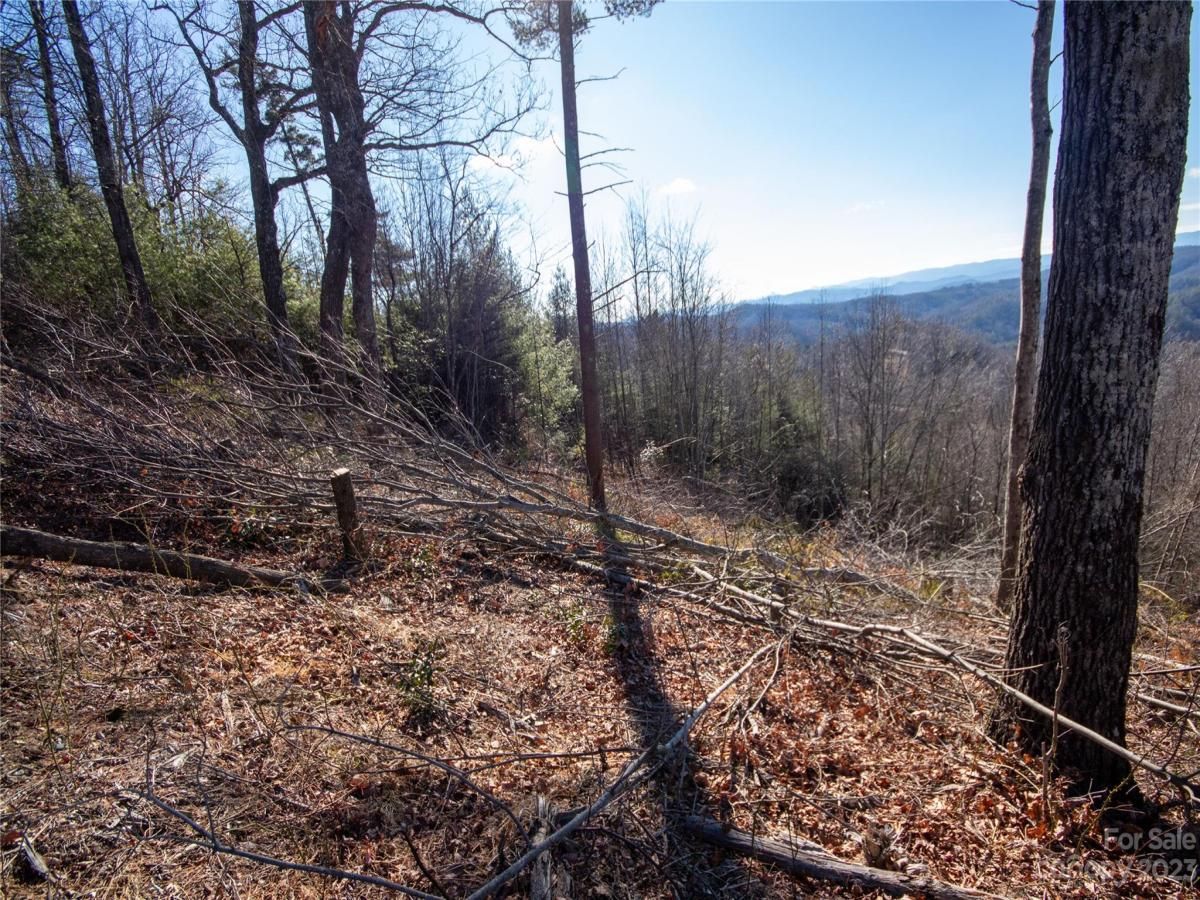 MLS #CAR4105989 image #29