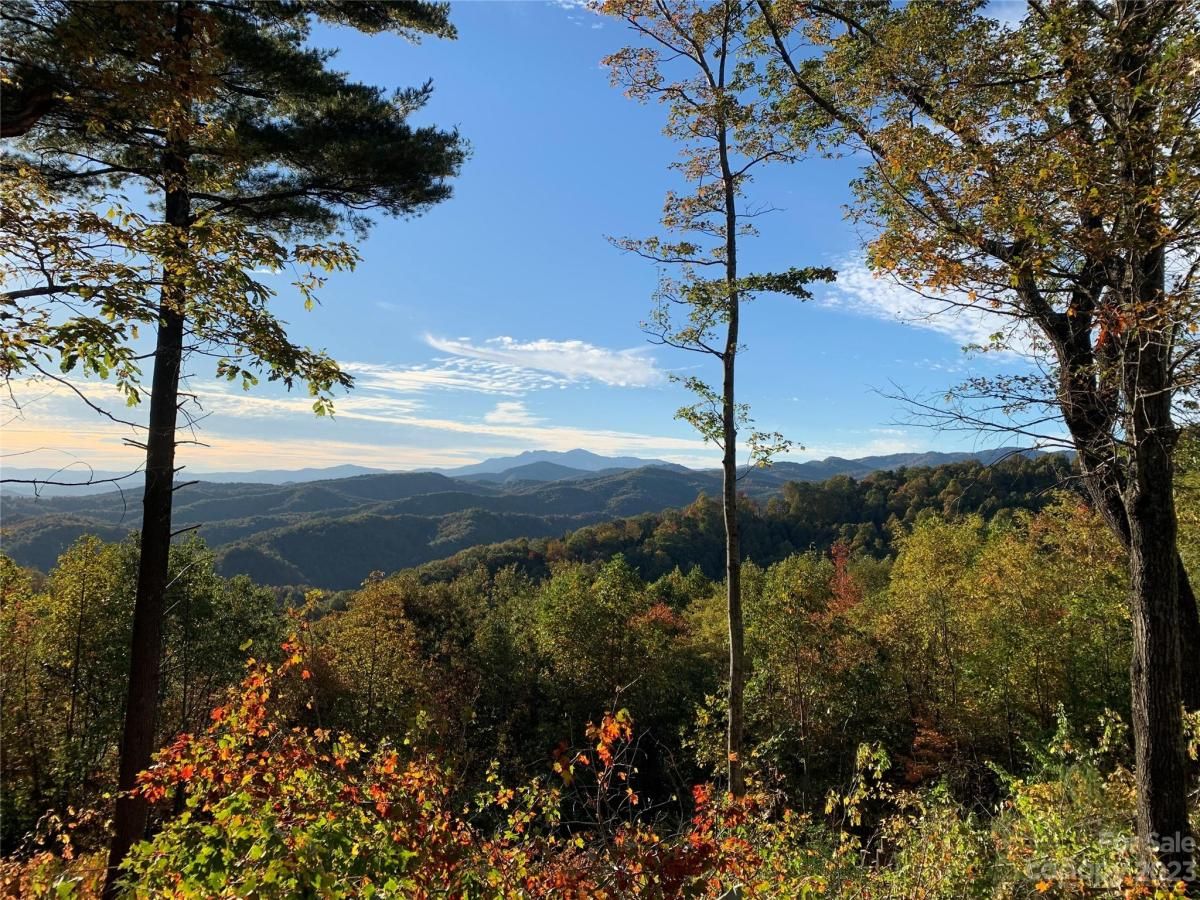 MLS #CAR4105989 image #3