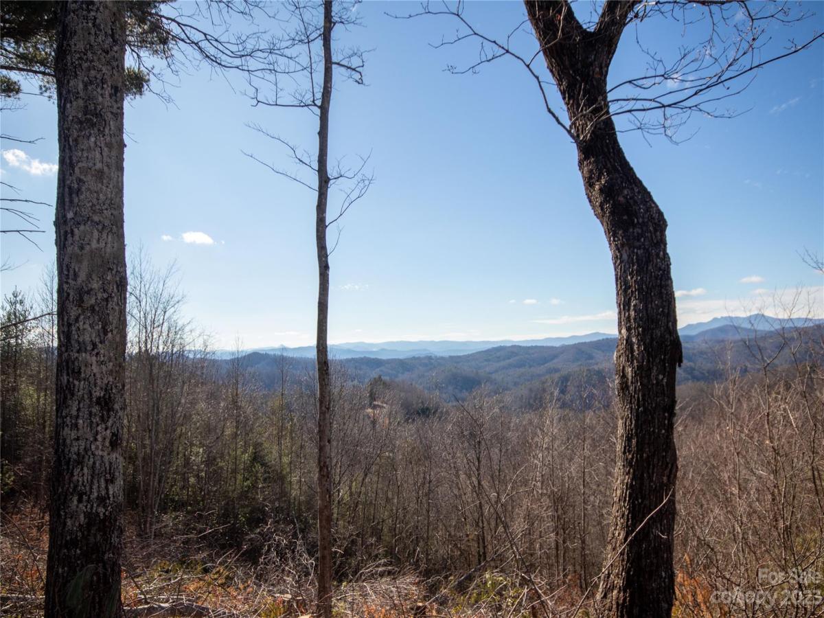 MLS #CAR4105989 image #30