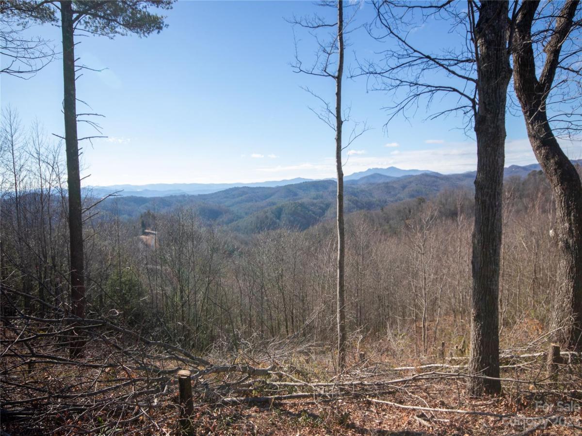 MLS #CAR4105989 image #31