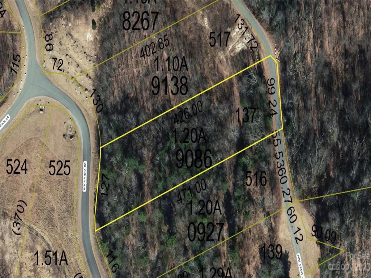 MLS #CAR4105989 image #33