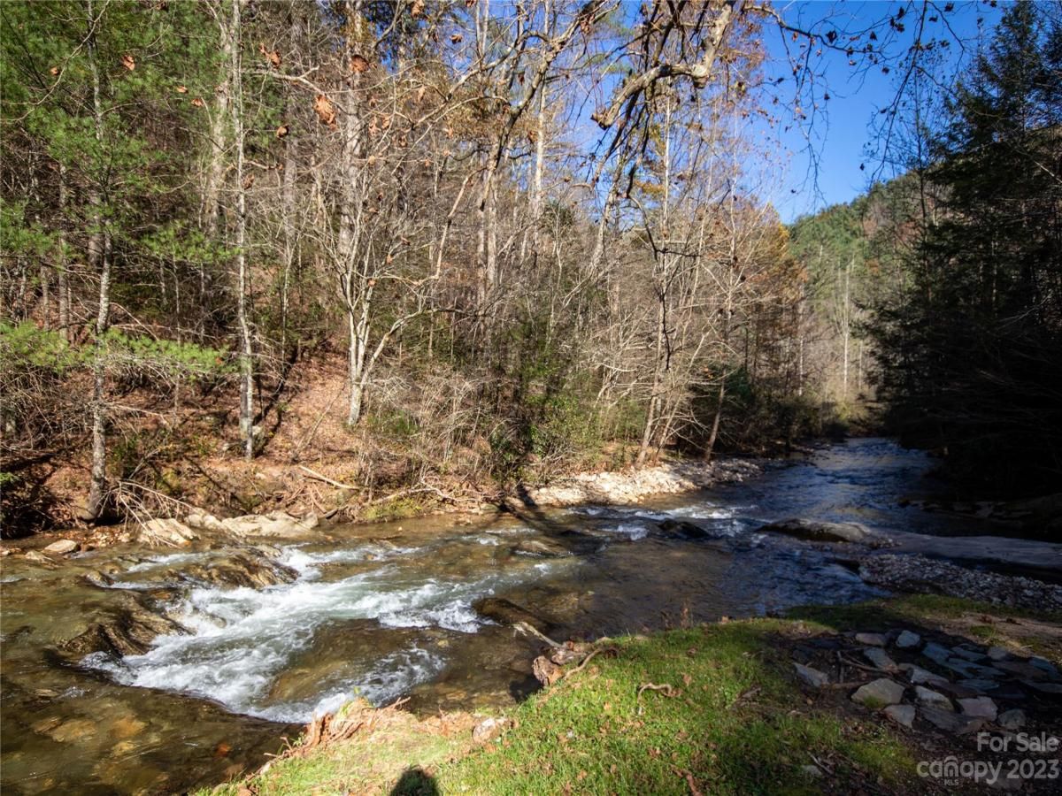 MLS #CAR4105989 image #40