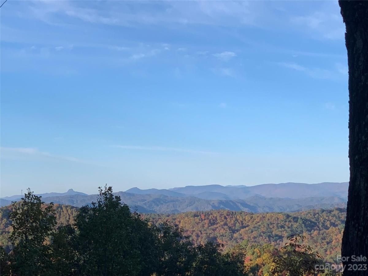 MLS #CAR4105989 image #5