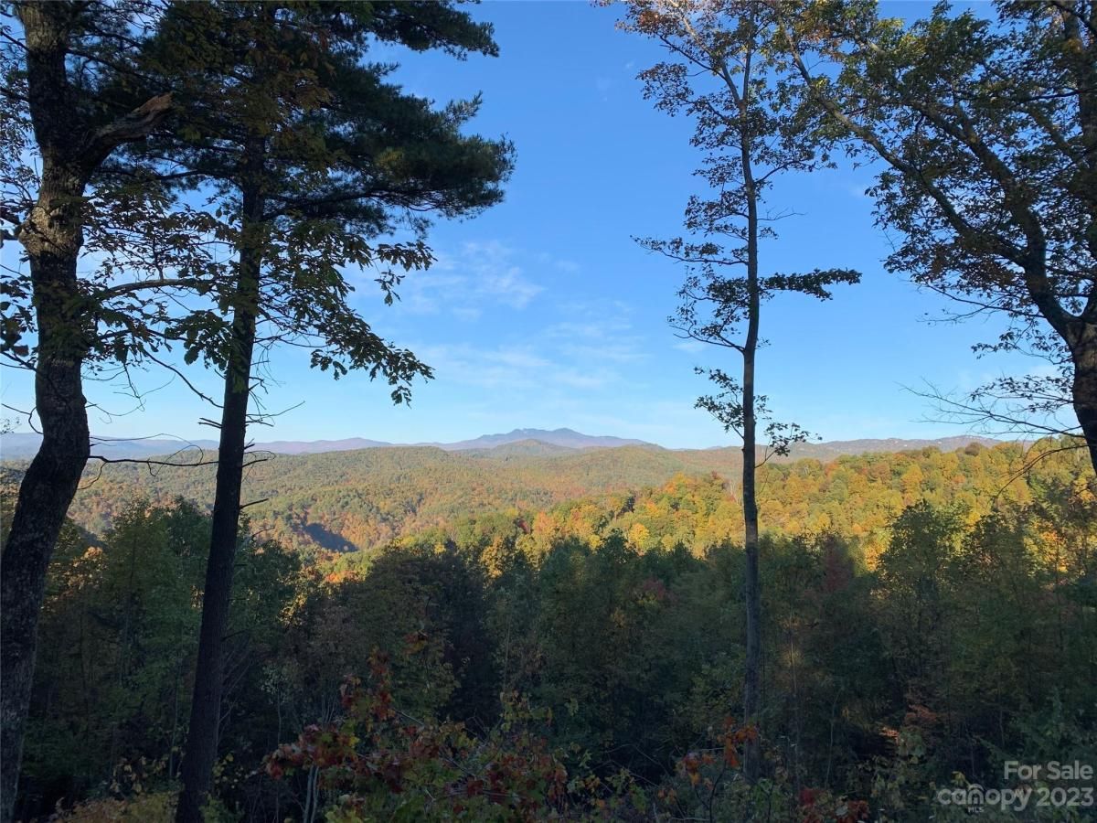 MLS #CAR4105989 image #7