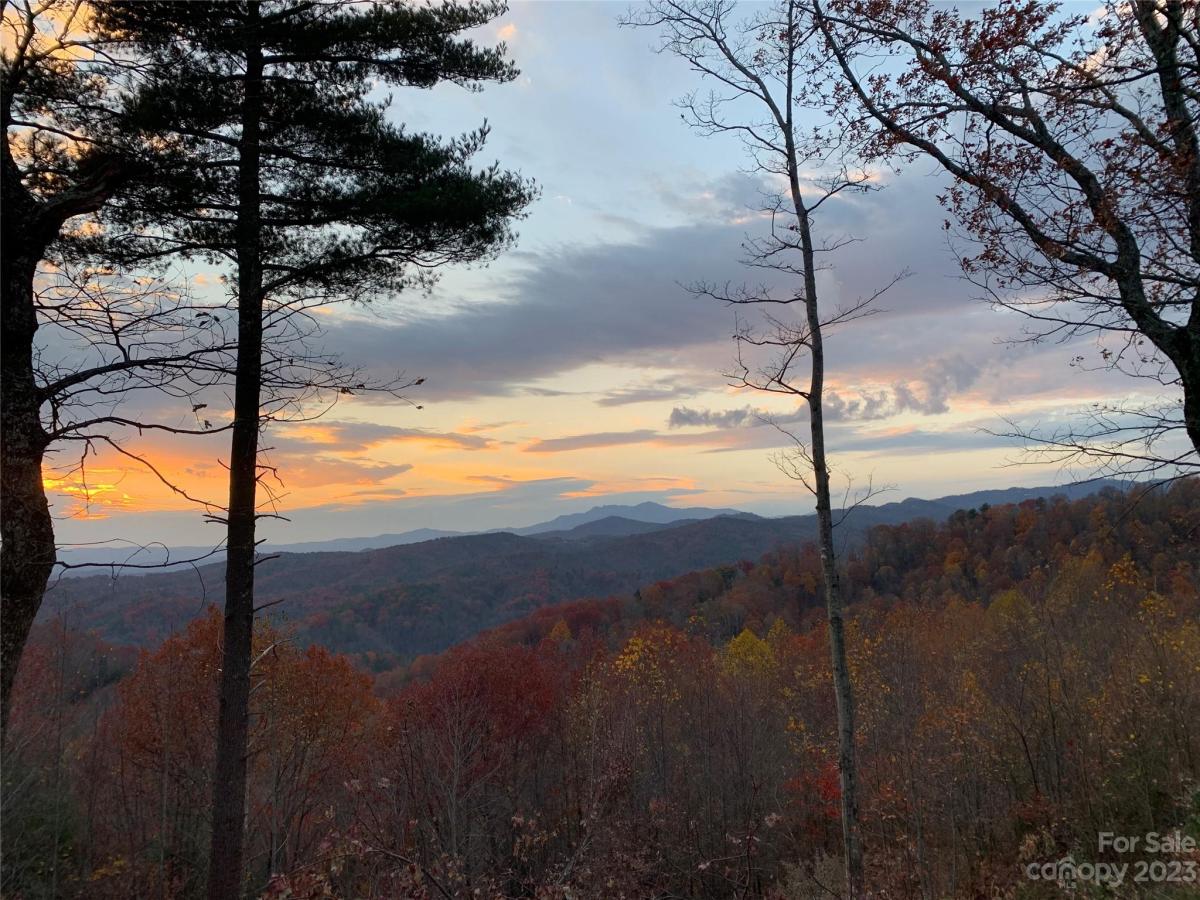 MLS #CAR4105989 image #9