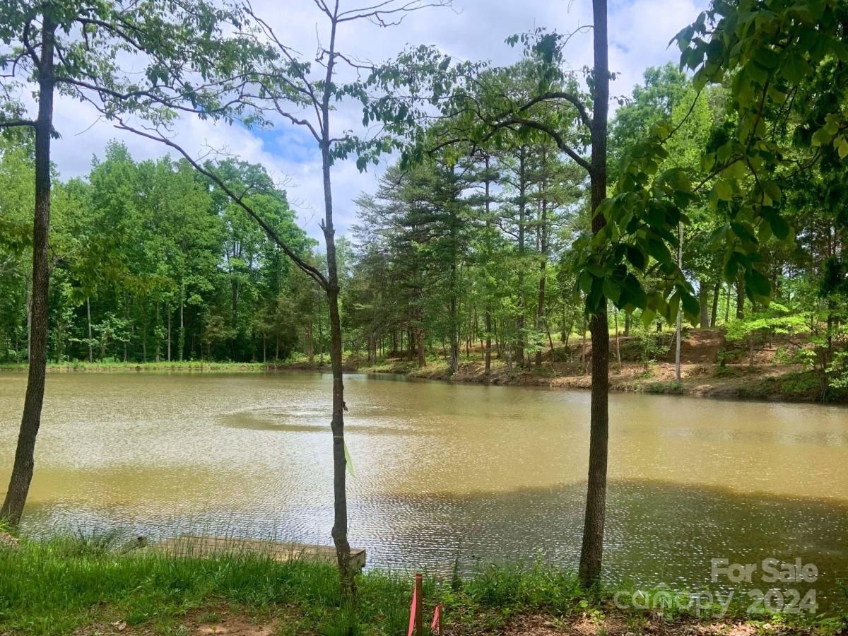 MLS #CAR4107502 image #1