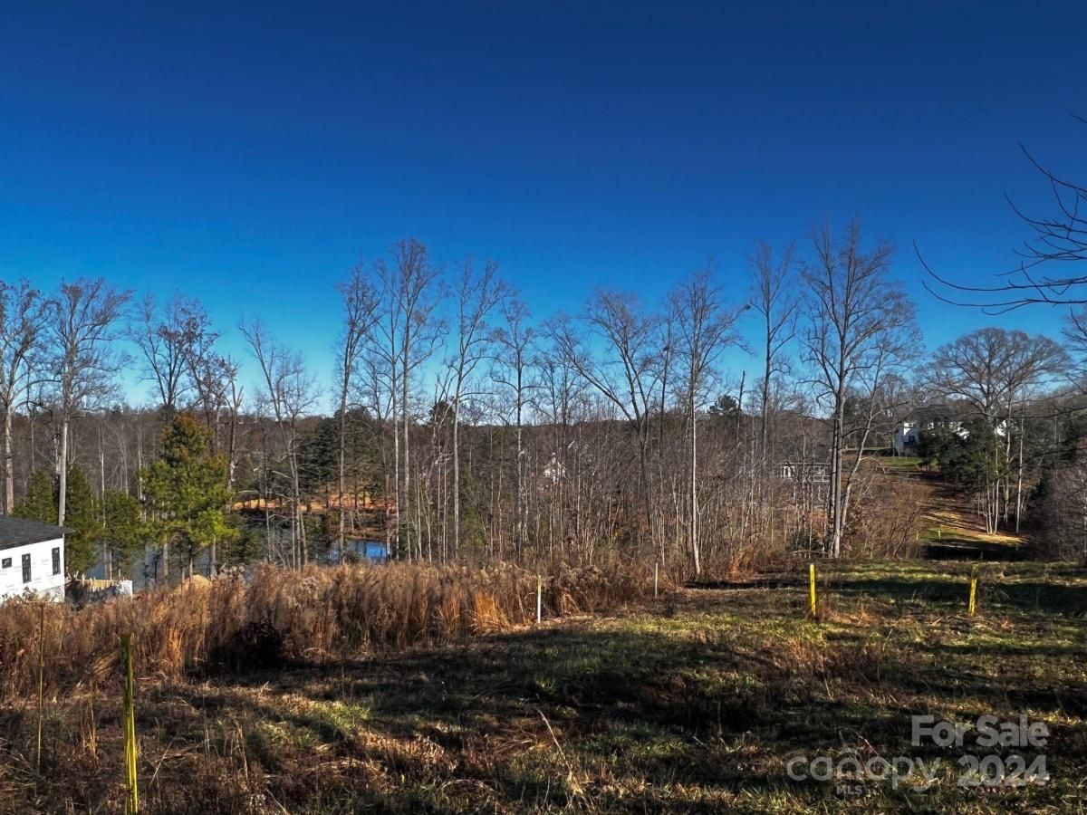 MLS #CAR4107502 image #3