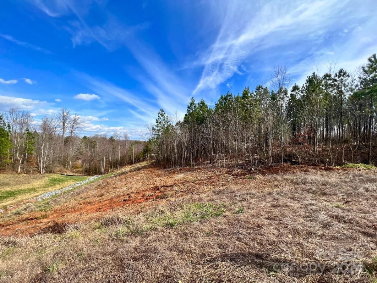 MLS #CAR4107524 image #2