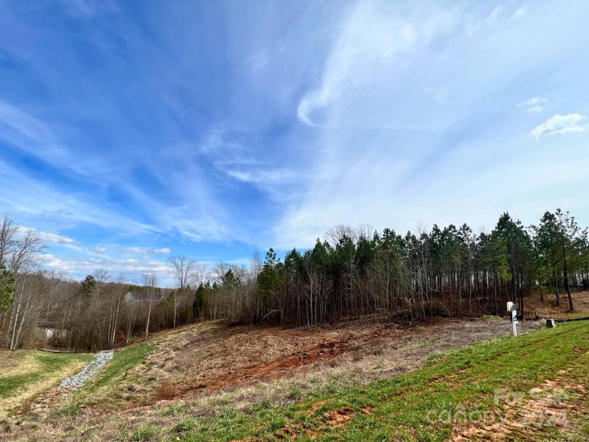 MLS #CAR4107524 image #3