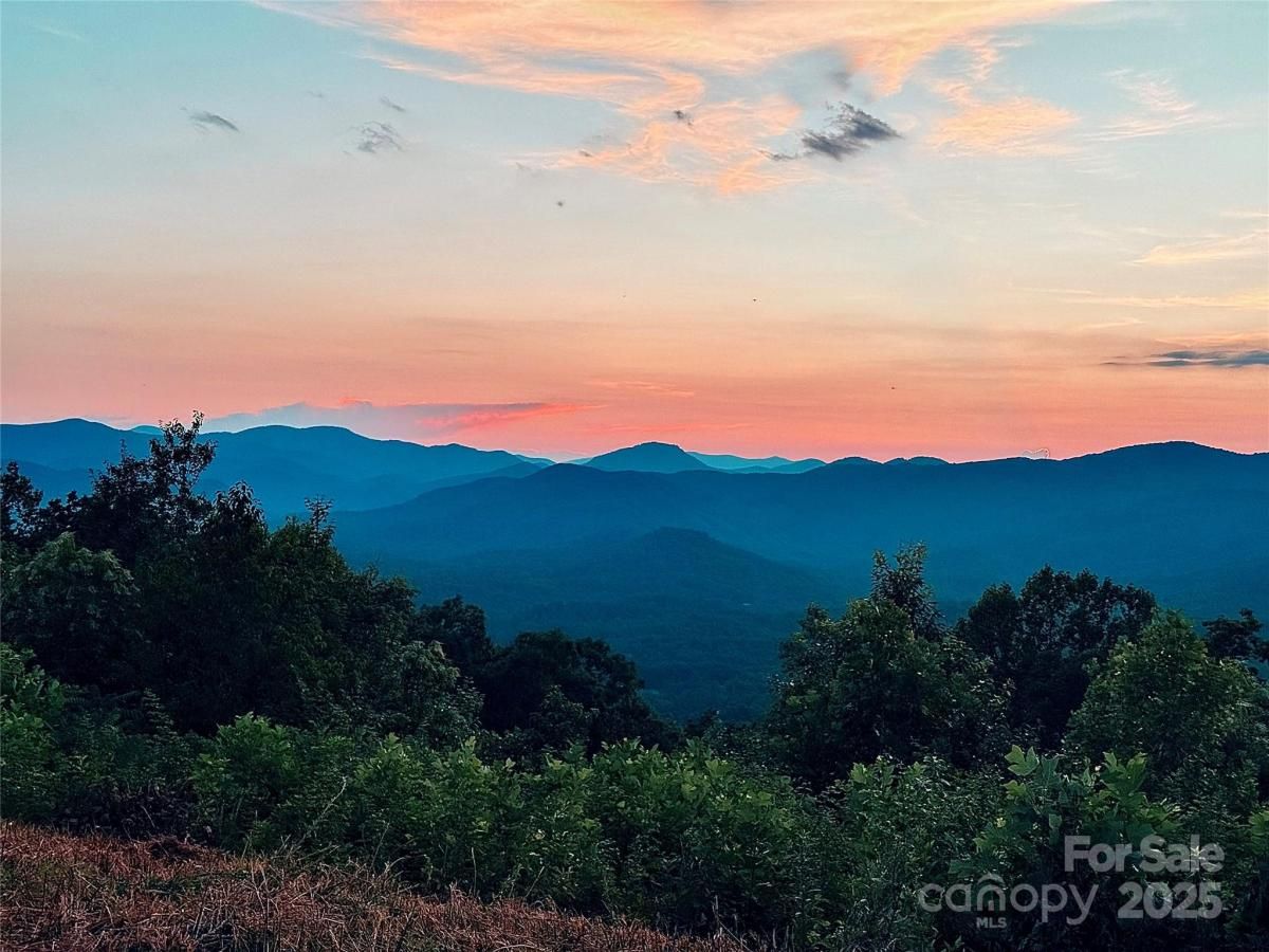 MLS #CAR4112693 image #0