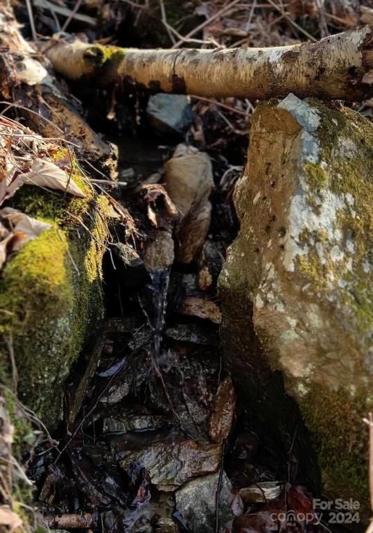 MLS #CAR4113933 image #7