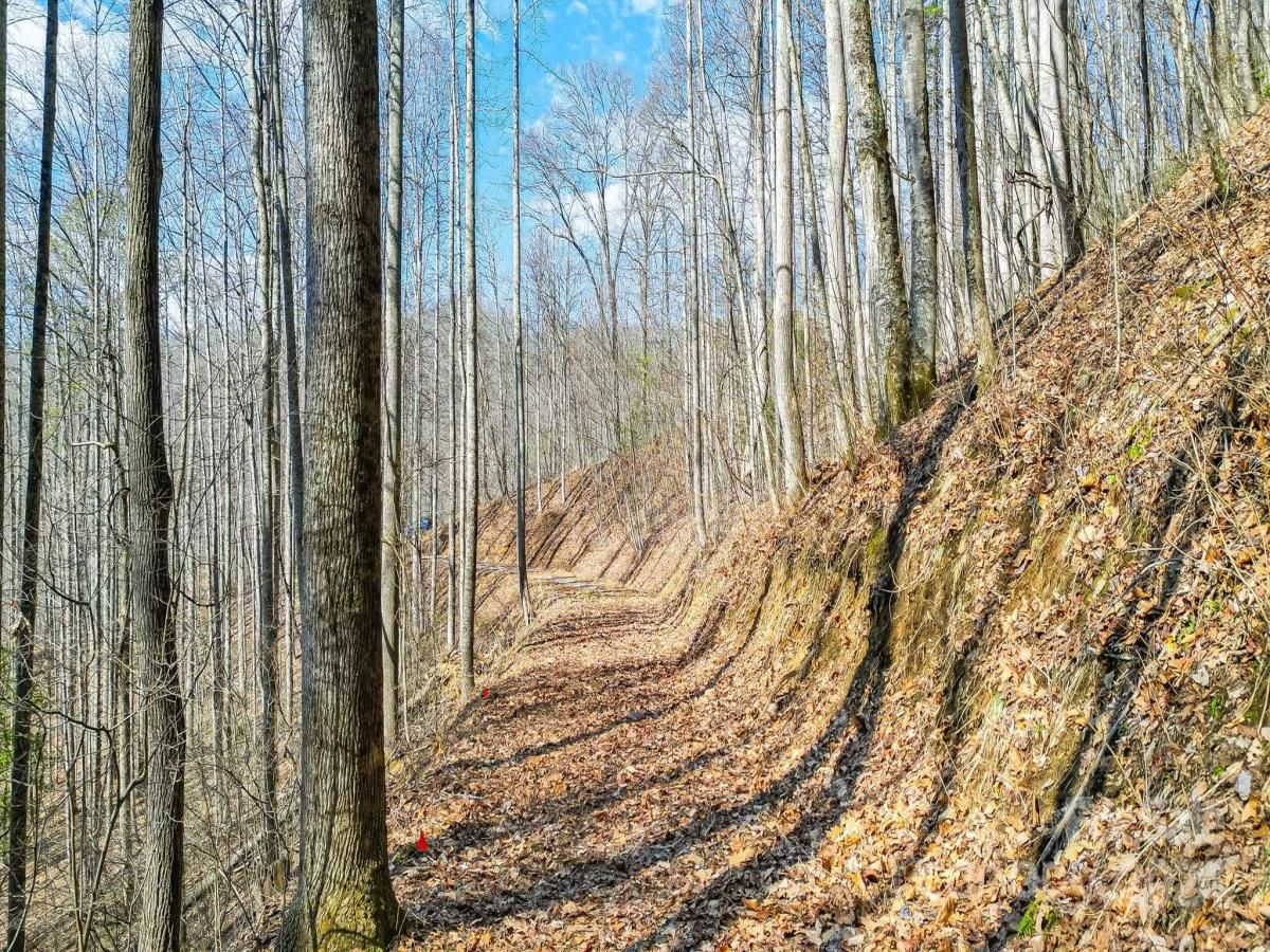 MLS #CAR4113933 image #10