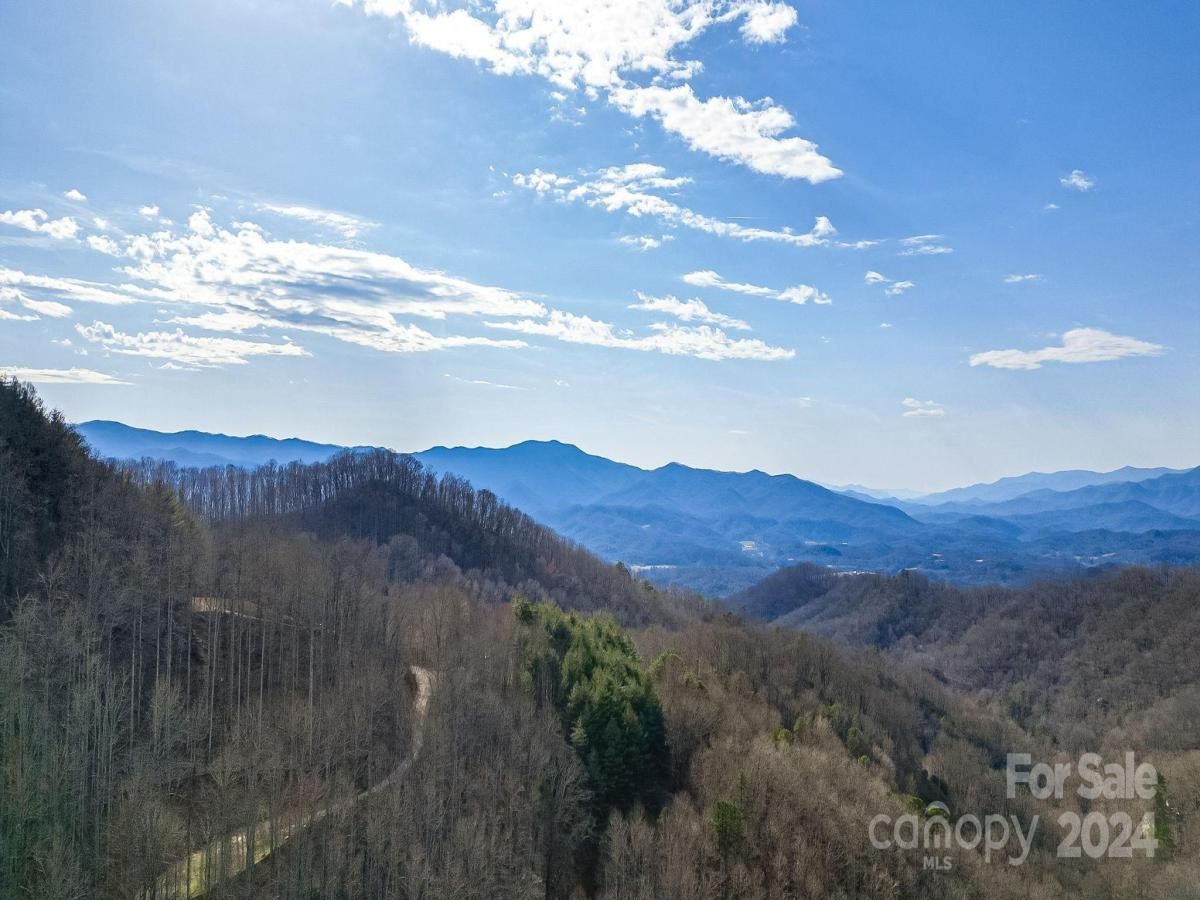 MLS #CAR4113933 image #11