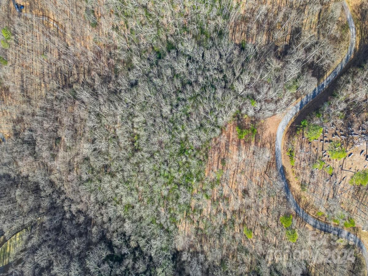 MLS #CAR4113933 image #12