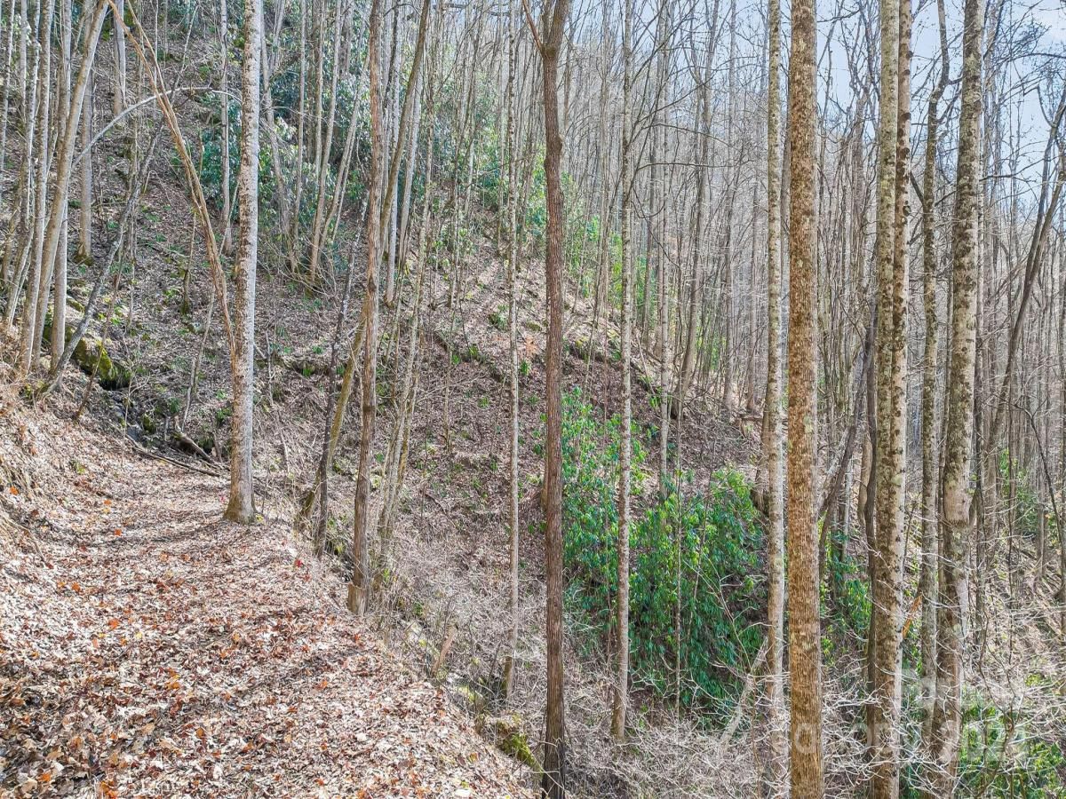 MLS #CAR4113933 image #13