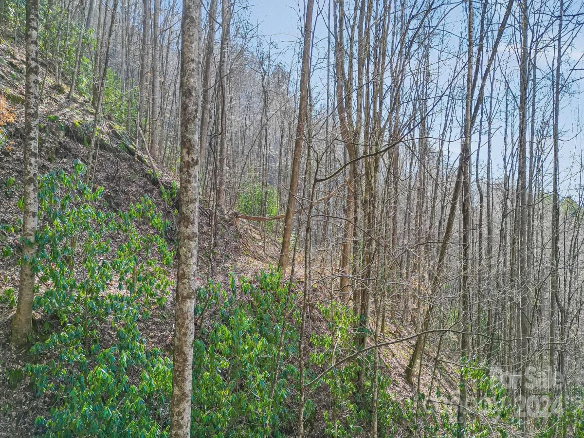 MLS #CAR4113933 image #8