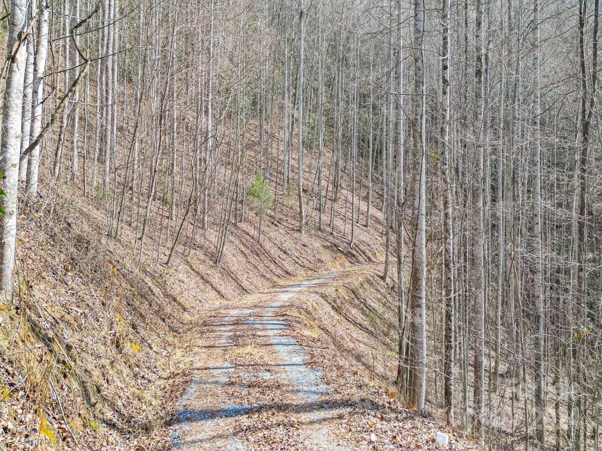 MLS #CAR4113933 image #9