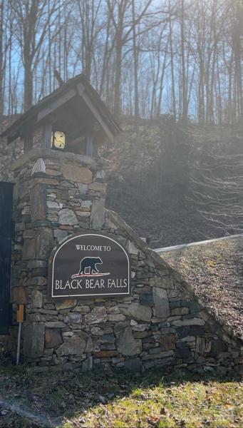 MLS #CAR4113933 image #3