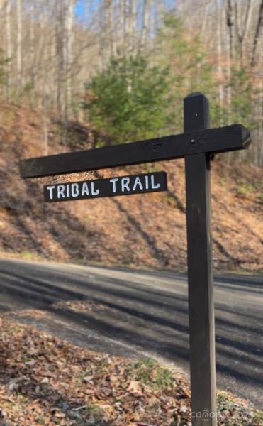 MLS #CAR4113933 image #4