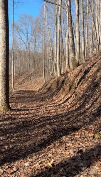 MLS #CAR4113933 image #5