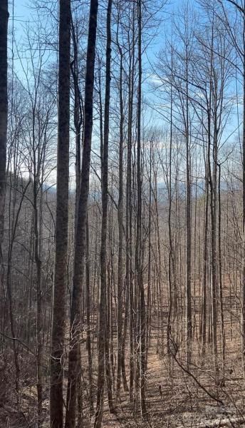 MLS #CAR4113933 image #6