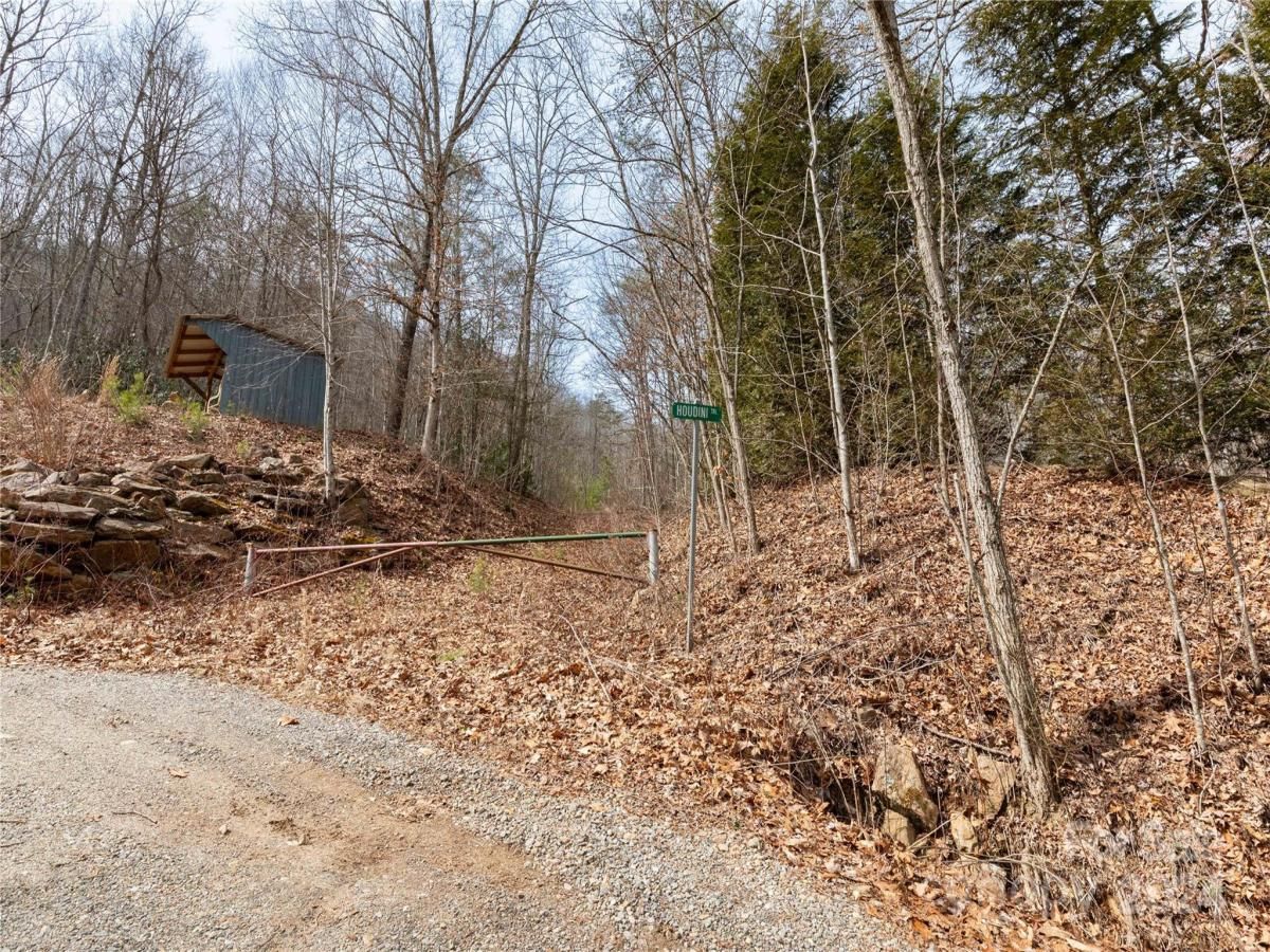 MLS #CAR4115241 image #1