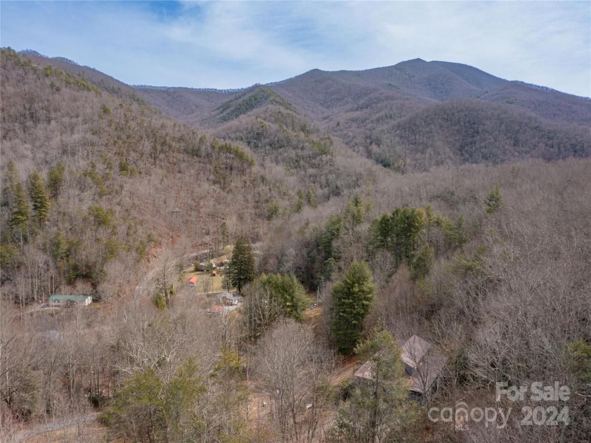 MLS #CAR4115241 image #10