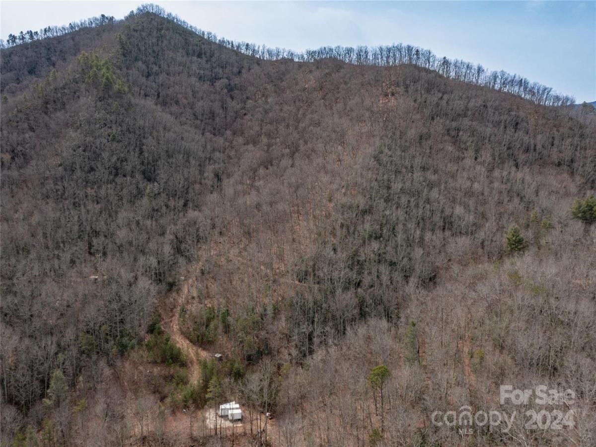 MLS #CAR4115241 image #11