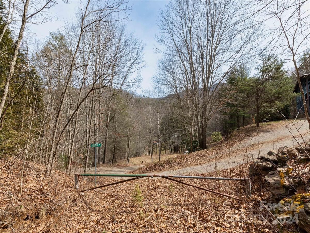 MLS #CAR4115241 image #12