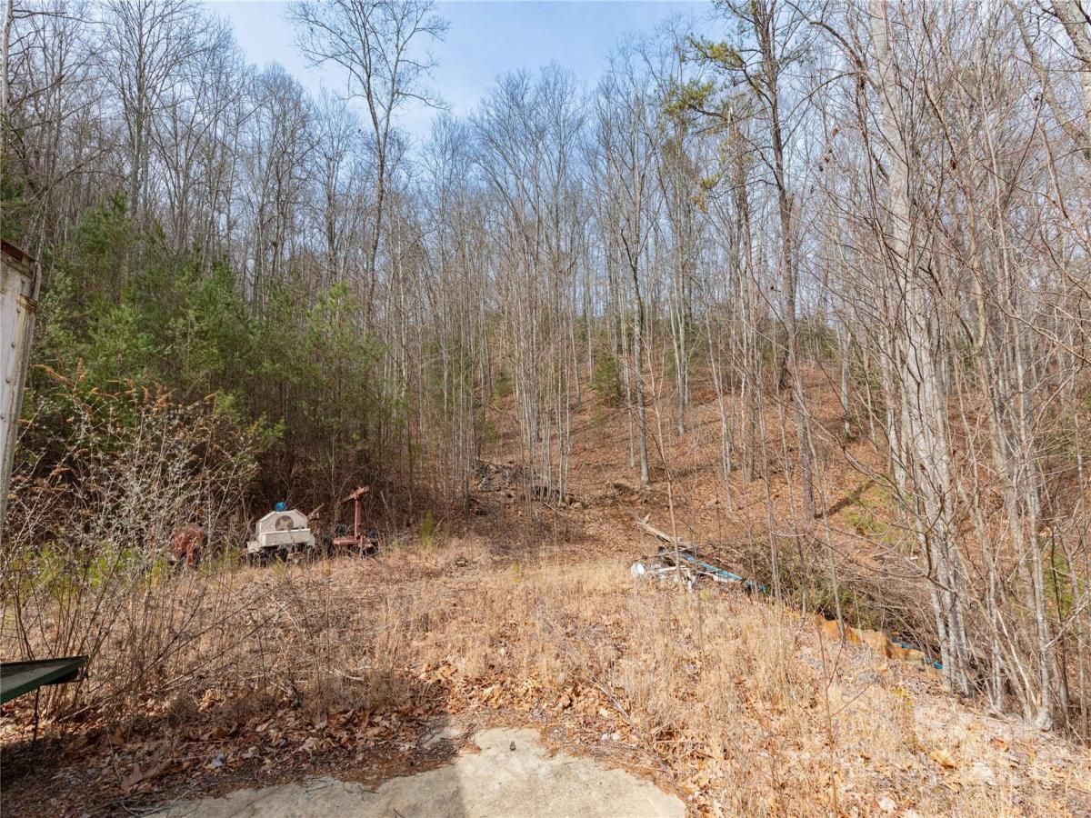 MLS #CAR4115241 image #5