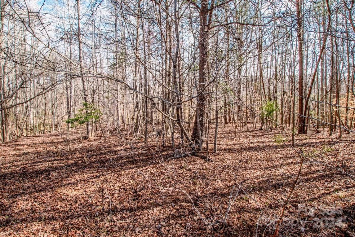 MLS #CAR4115381 image #10