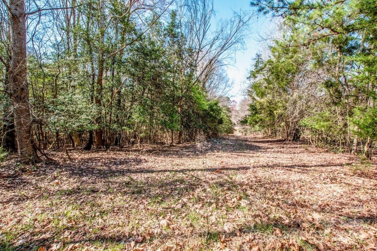 MLS #CAR4115381 image #5