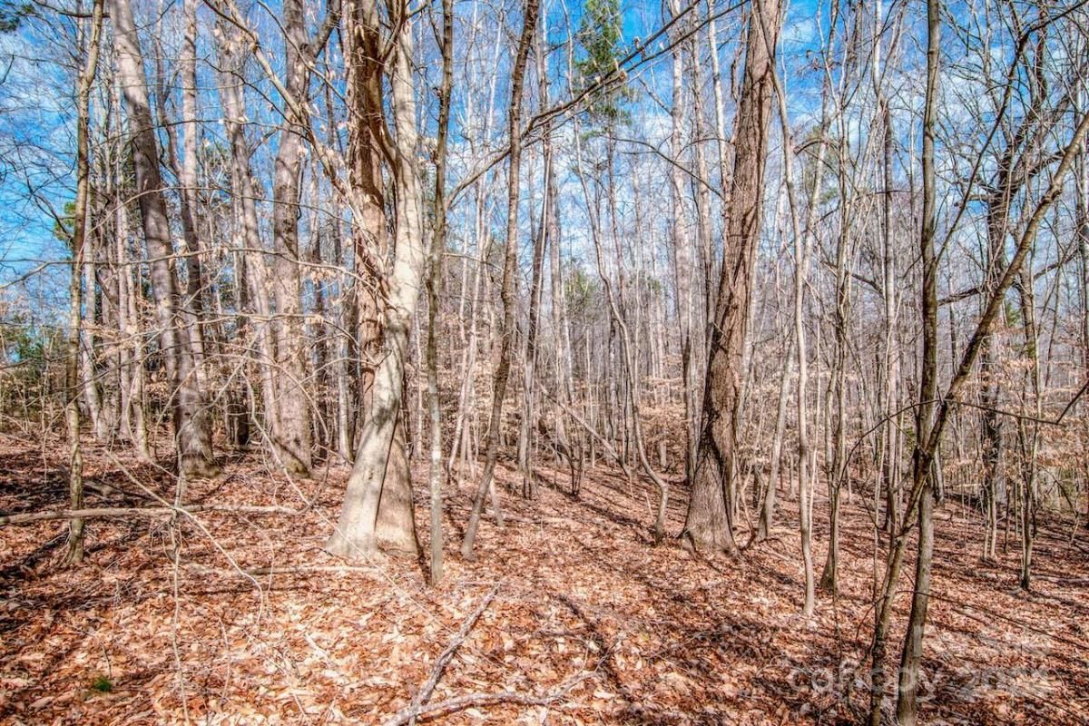 MLS #CAR4115381 image #6