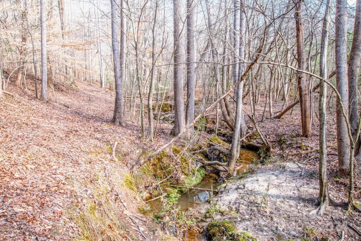 MLS #CAR4115381 image #7