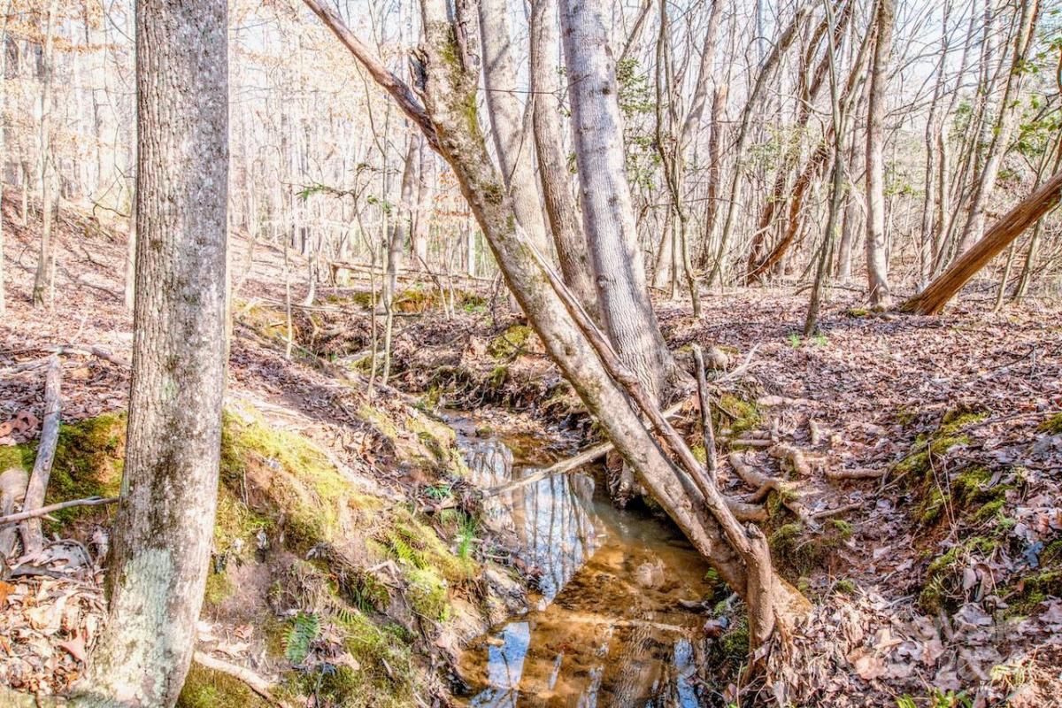 MLS #CAR4115381 image #8