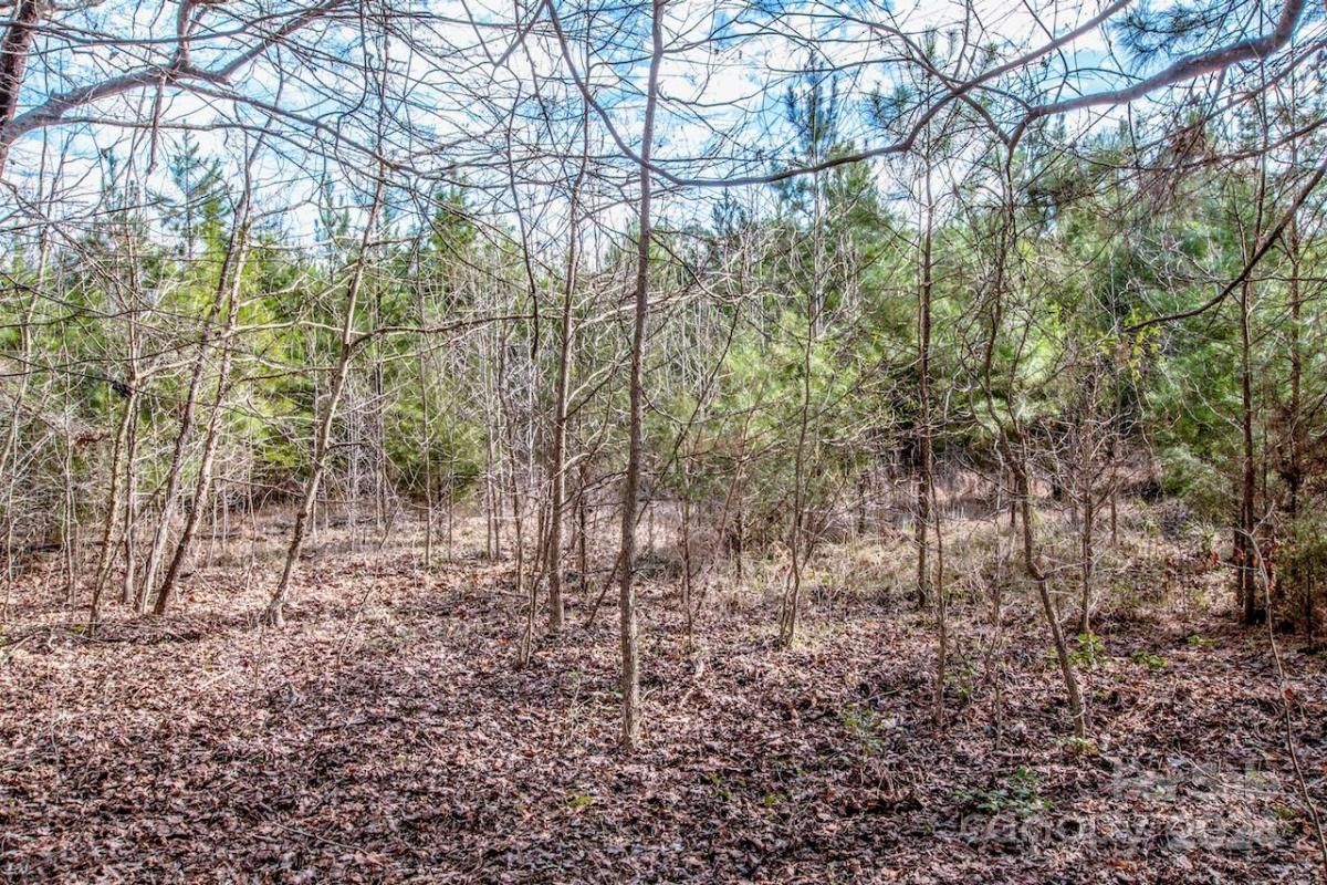 MLS #CAR4115381 image #9