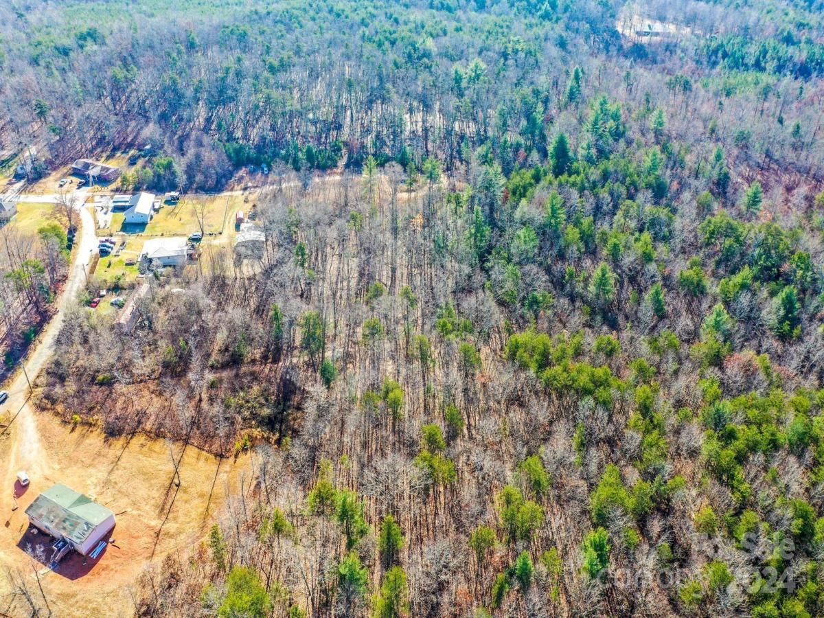 MLS #CAR4116009 image #6