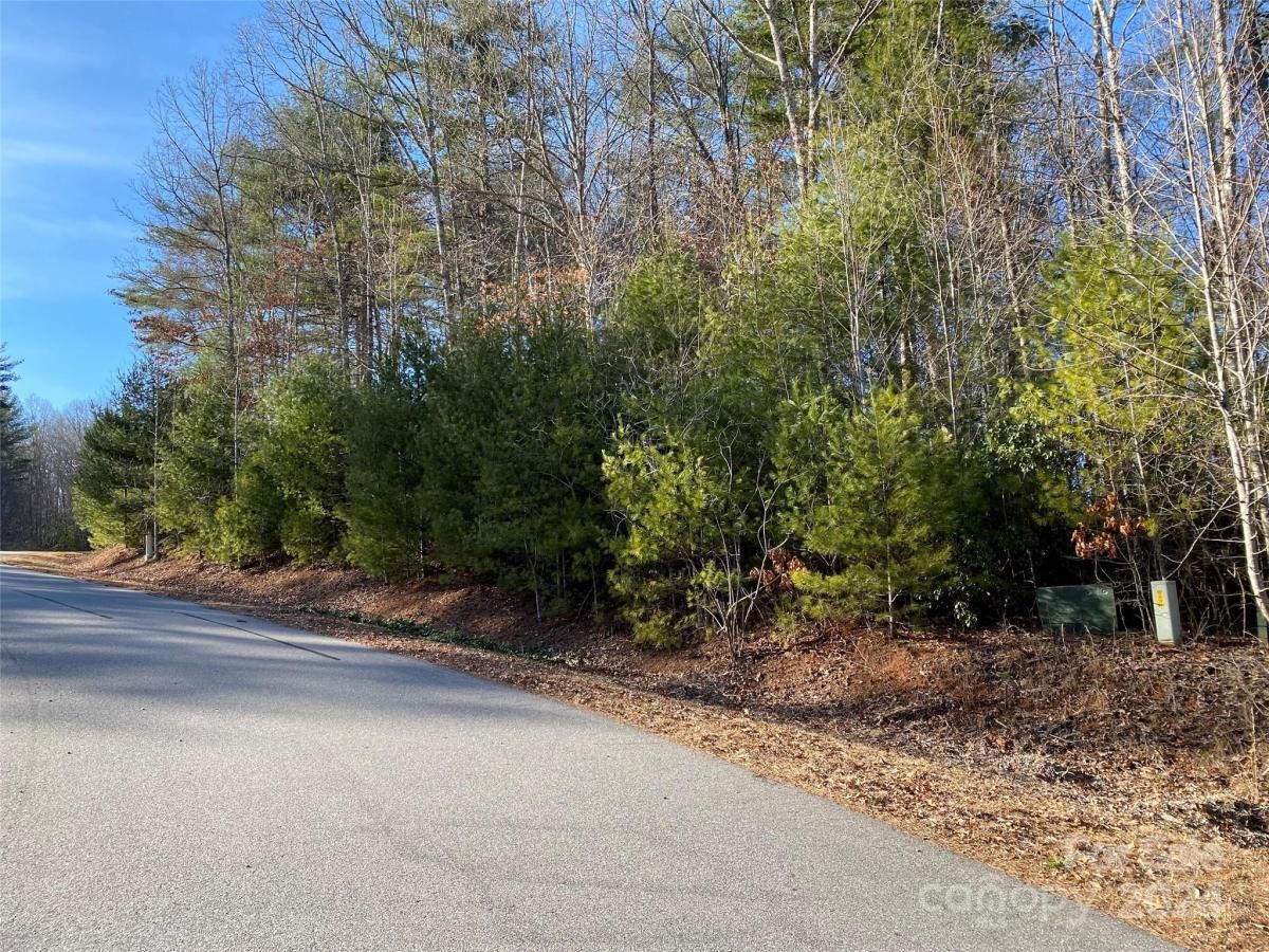 MLS #CAR4116137 image #1