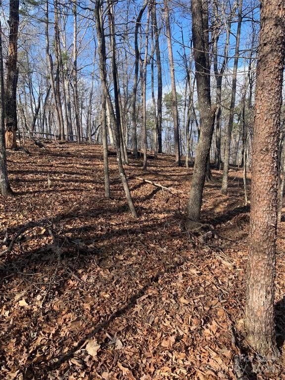 MLS #CAR4119709 image #3