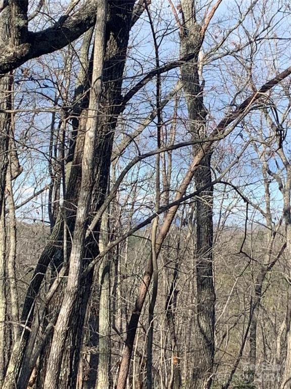 MLS #CAR4119709 image #4