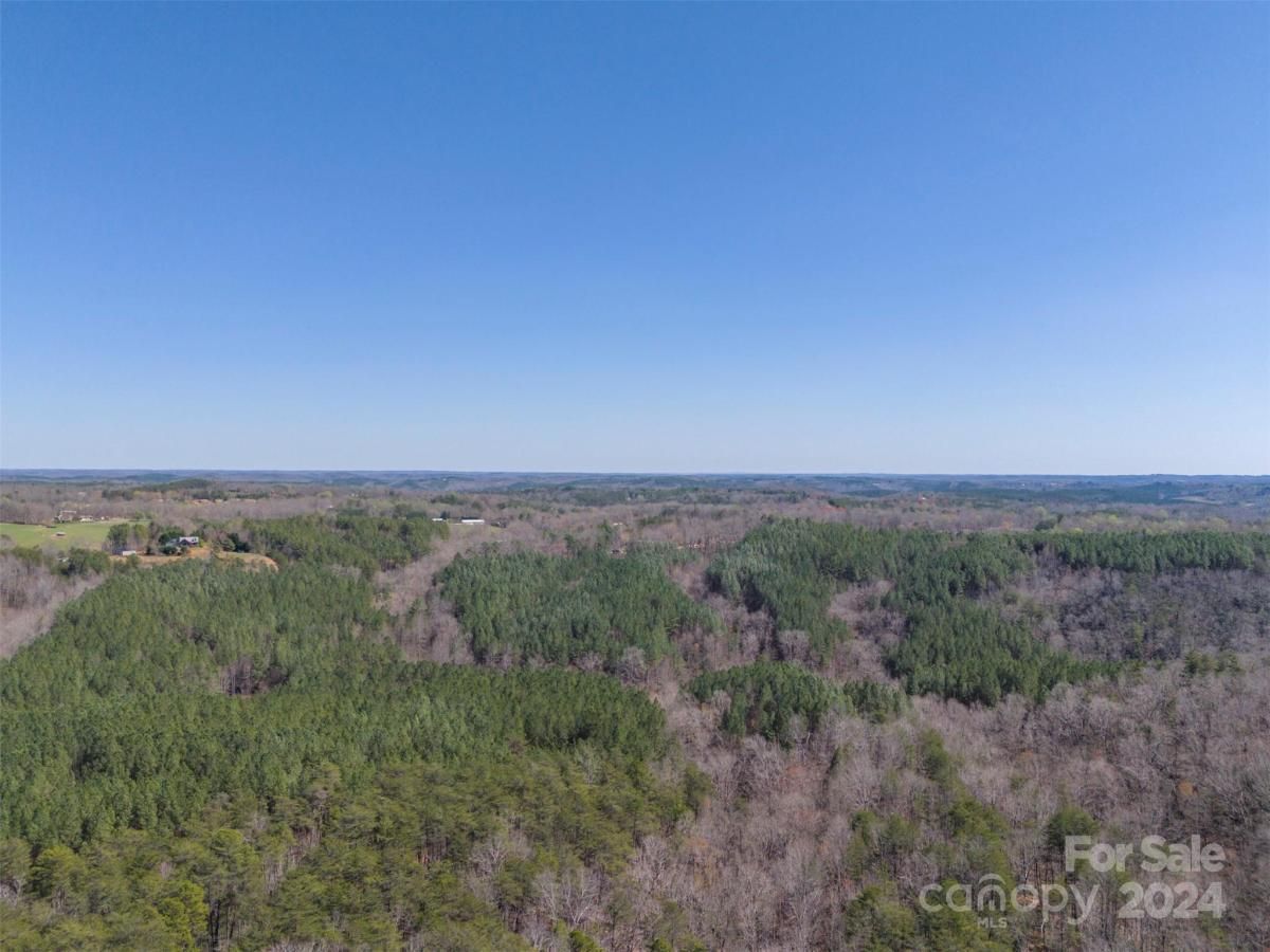 MLS #CAR4119709 image #10