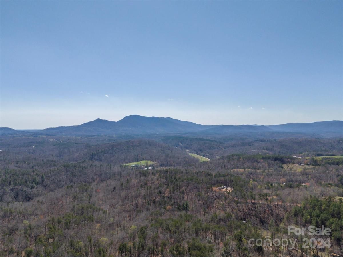 MLS #CAR4119709 image #11