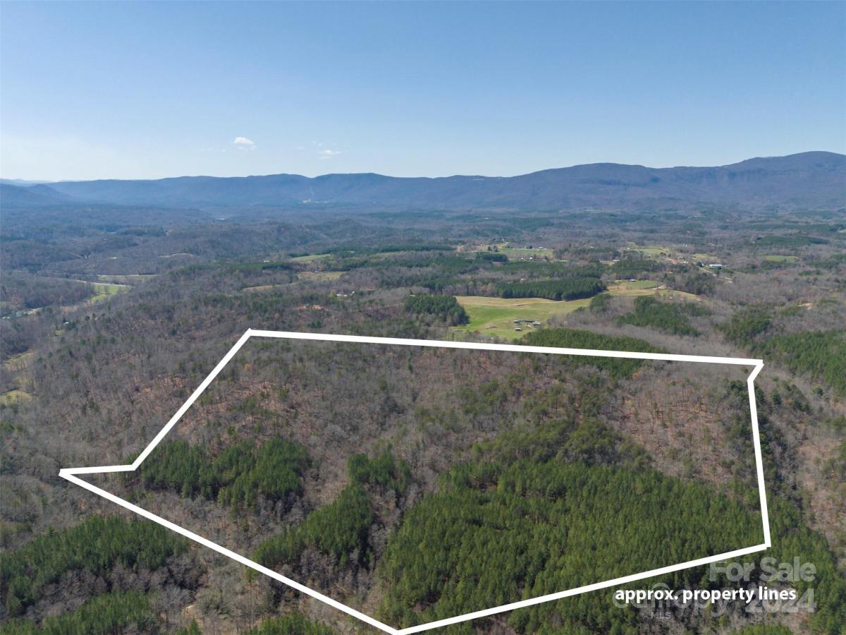 MLS #CAR4119709 image #16