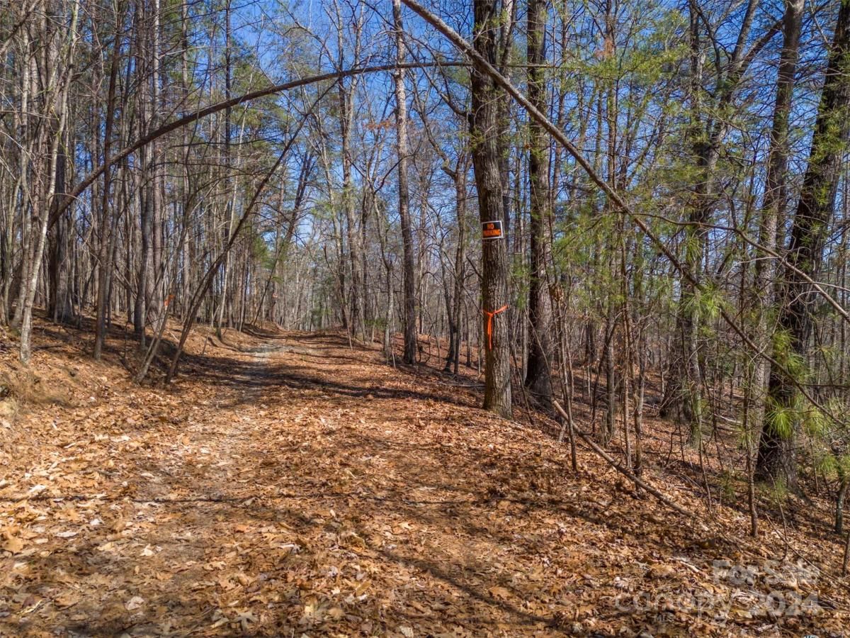 MLS #CAR4119709 image #8