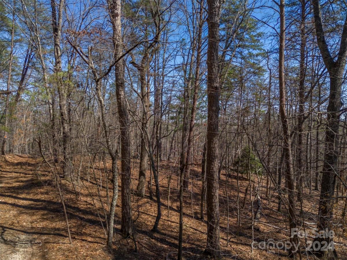 MLS #CAR4119709 image #9