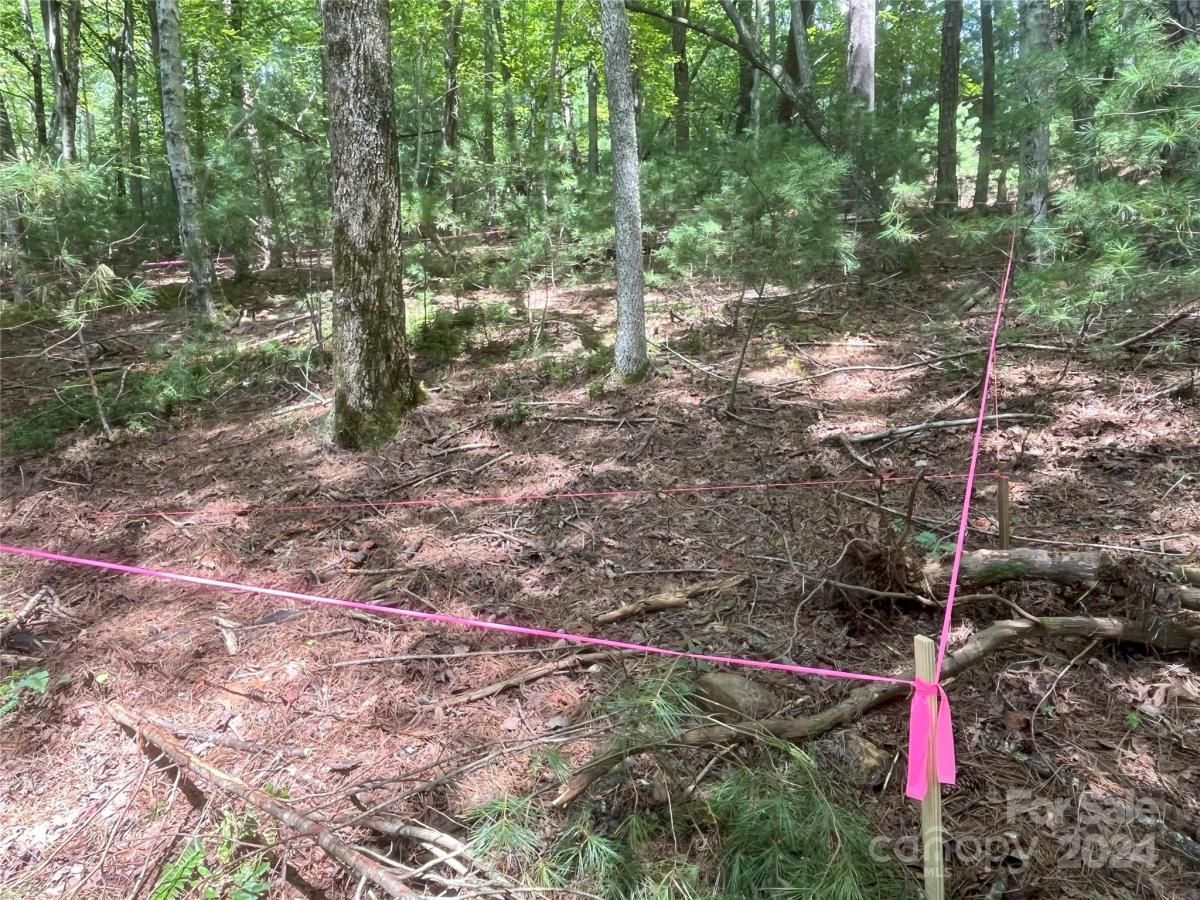 MLS #CAR4121275 image #0